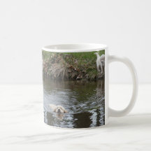 Trío del golden retriever de la taza de los perrit