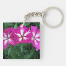 Trío del Phlox de las rosas fuertes Llavero