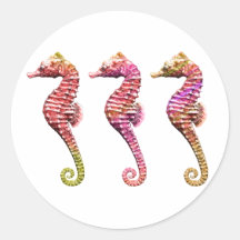 Trío del Seahorse en rojos Pegatinas
