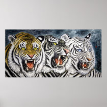 Trío del tigre - pintura china posters