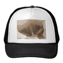 Triumph Washington nombrado tulipán Gorra