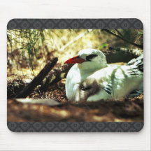 Tropicbird Rojo-atado y polluelo Alfombrillas De Ratón