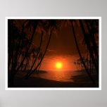Trópico del cáncer posters