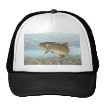 Trucha, arroyo gorras de camionero
