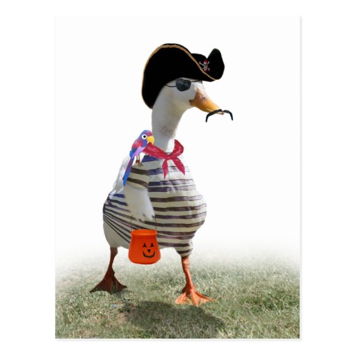 Truco de Halloween o pato del pirata que trata Postal