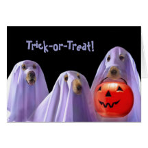 Truco-o-Tratando el fantasma persigue la tarjeta d