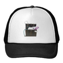 TrunkMedical080409 Gorra
