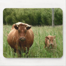TRUTH CHINA INNER MONGOLIA MOUSE PADS