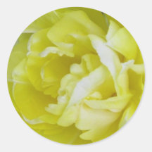 Tulipán amarillo de la montaña pegatinas redondas