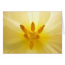 Tulipán amarillo felicitación