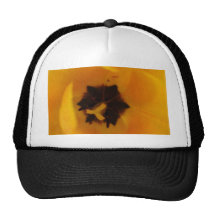Tulipán amarillo gorros  