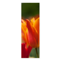 Tulipán anaranjado tarjeta de visita