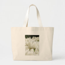 Tulipán blanco del uphigh bolsa