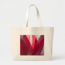 Tulipán Bolsa
