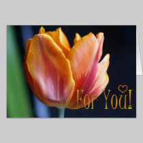 Tulipán colorido y tarjeta de texto diseñada tarjetas