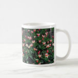 Tulipán del placer del corazón rojo, (Tulipa Kaufm Taza