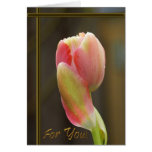 Tulipán hermoso, raro con la tarjeta de texto de o