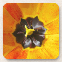Tulipán macro posavasos de bebidas