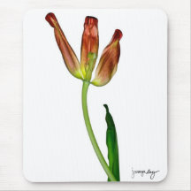 "Tulipán" por J. maya Luz Tapetes De Ratones
