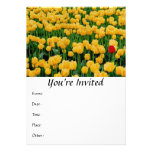 Tulipán rojo en un campo amarillo del tulipán invitación personalizada