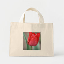 tulipán rojo, fotografía por la colina de Jamie Su Bolsas