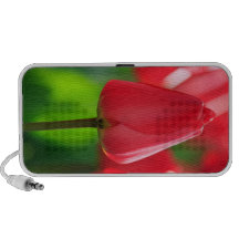 Tulipán rojo notebook altavoz