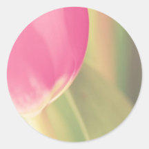 Tulipán rosado de la felpa, fotografía, plantillas etiquetas redondas