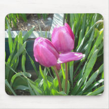 Tulipanes Alfombrillas De Ratones