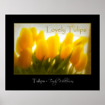 Tulipanes amarillos preciosos poster