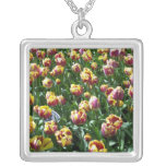 Tulipanes amarillos y púrpuras joyerias