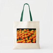 Tulipanes amarillos y rojos en primavera bolsa