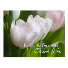 Tulipanes blancos • Gracias postal