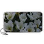 Tulipanes blancos mini altavoces
