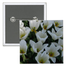 Tulipanes blancos pin