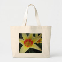 Tulipanes Bolsa