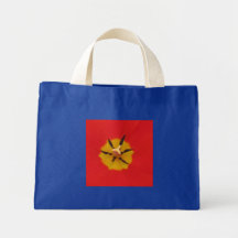Tulipanes Bolsa