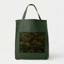 Tulipanes Bolsa De Mano