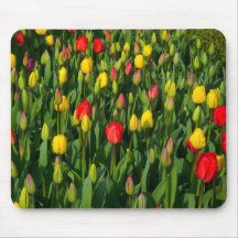 Tulipanes coloridos tapete de ratones