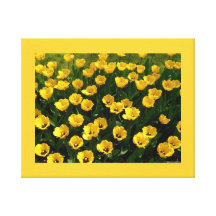 TULIPANES de encargo del AMARILLO de la lona Lona Estirada Galerias