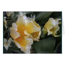 Tulipanes de oro tarjetas