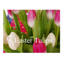 Tulipanes de Pascua Tarjetas Postales