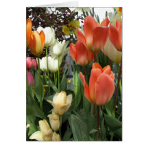 Tulipanes de Smith Felicitaciones