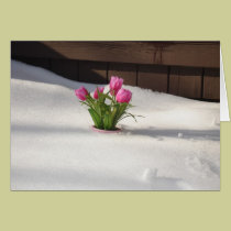 Tulipanes del invierno en tormenta de la nieve tarjetas