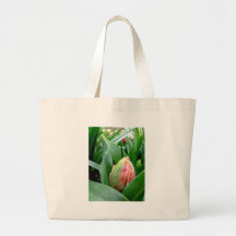 Tulipanes el dormir bolsas