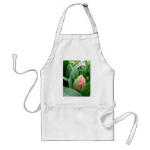 Tulipanes el dormir delantales