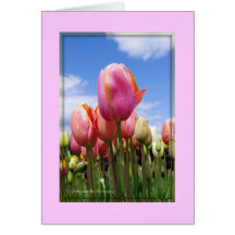 Tulipanes en The Sun - tarjeta en blanco