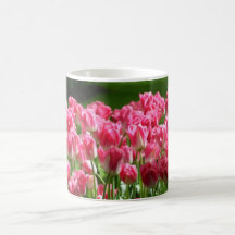 Tulipanes holandeses tazas de café