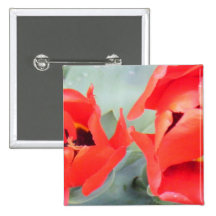 tulipanes impresionantes pins