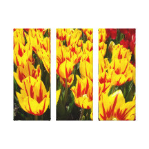 Tulipanes intrépidos coloridos del rojo del amaril impresión en lona