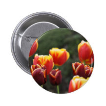 TULIPANES PINS